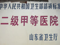 二级甲等医院