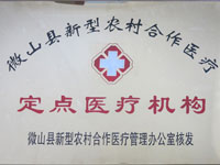 微山县新型农村合作医疗定点医疗机构